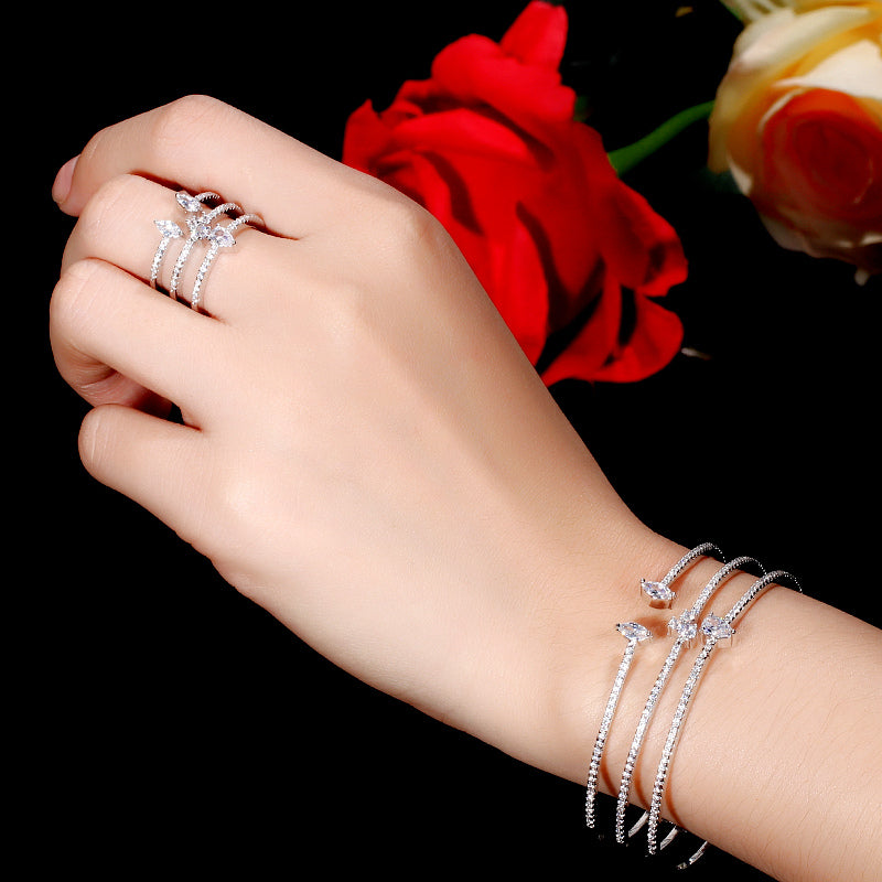 Luxury zirconia bangle set